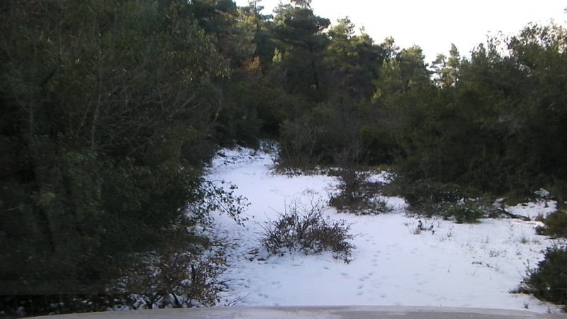 SANY0008.JPG