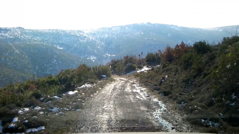 CI-84674894430492063.jpg