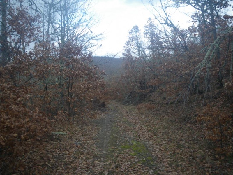 004_1024x768.jpg