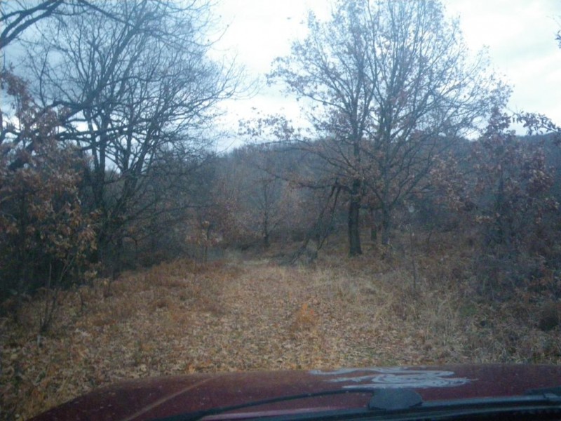 011_1024x768.jpg