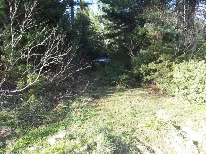 20160115_143215.jpg