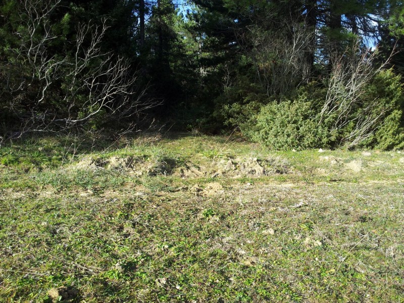 20160115_143018.jpg