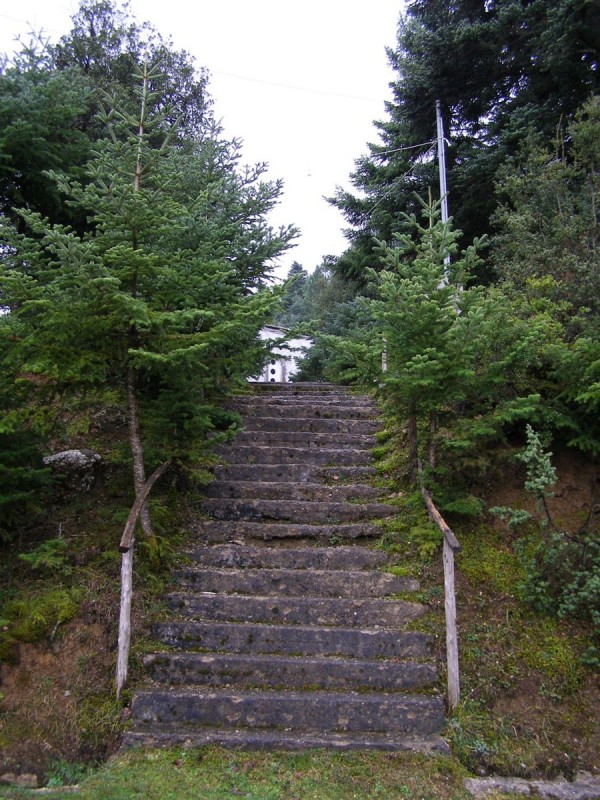 p39.jpg