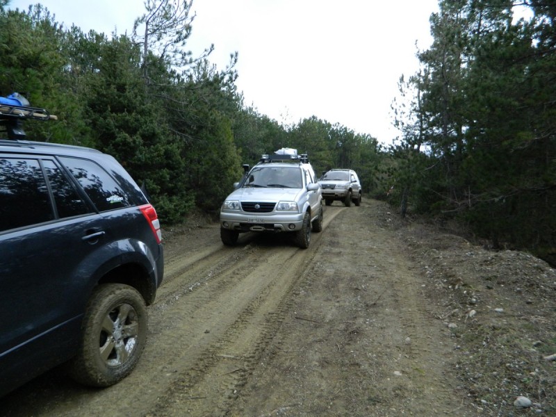 DSCN7575.jpg