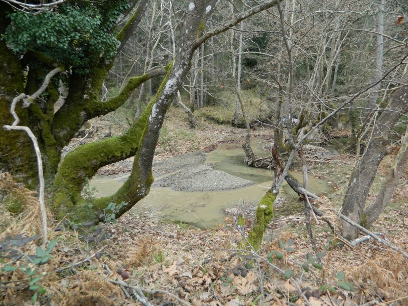 DSCN7602.jpg