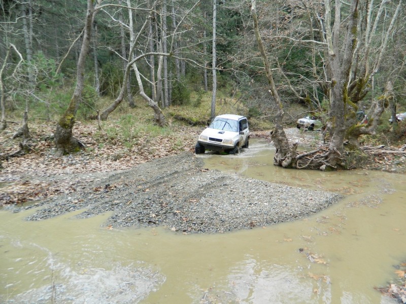 DSCN7610.jpg
