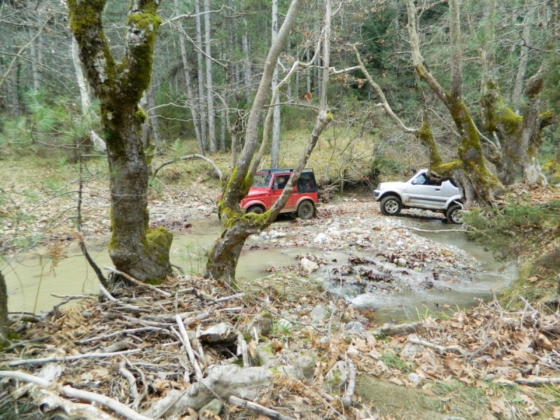 DSCN7611.jpg