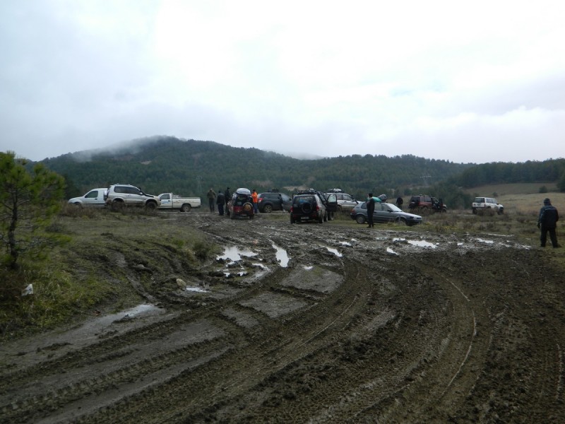 DSCN7650.jpg