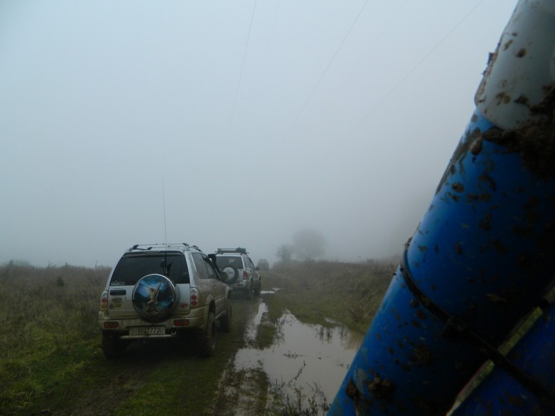 DSCN7677.jpg
