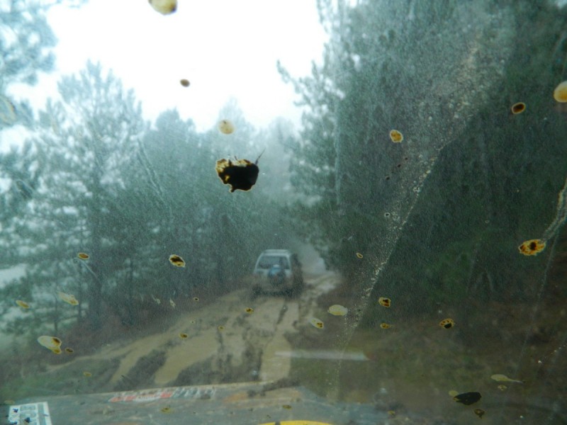 DSCN7679.jpg