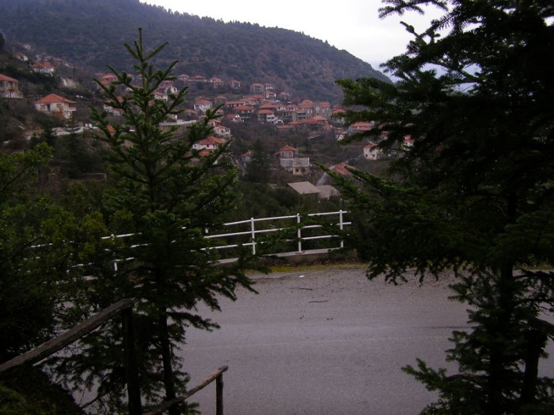 p41.jpg
