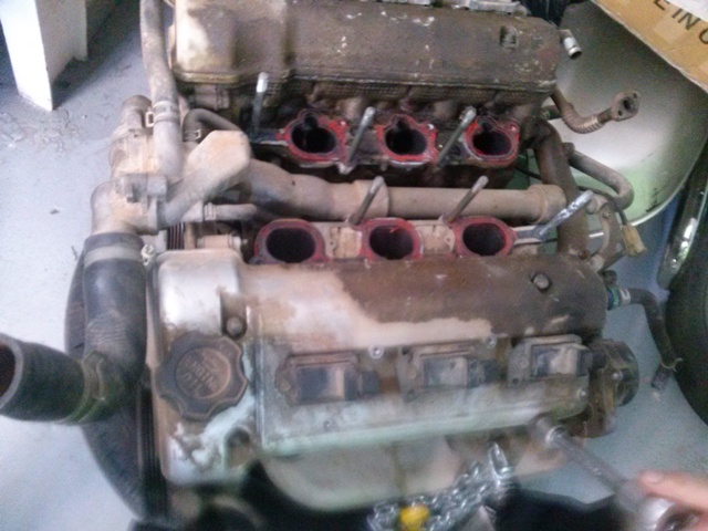 CAM00986.jpg