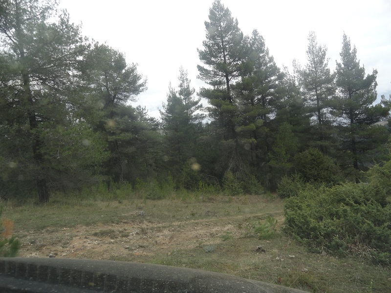 DSC03585.JPG