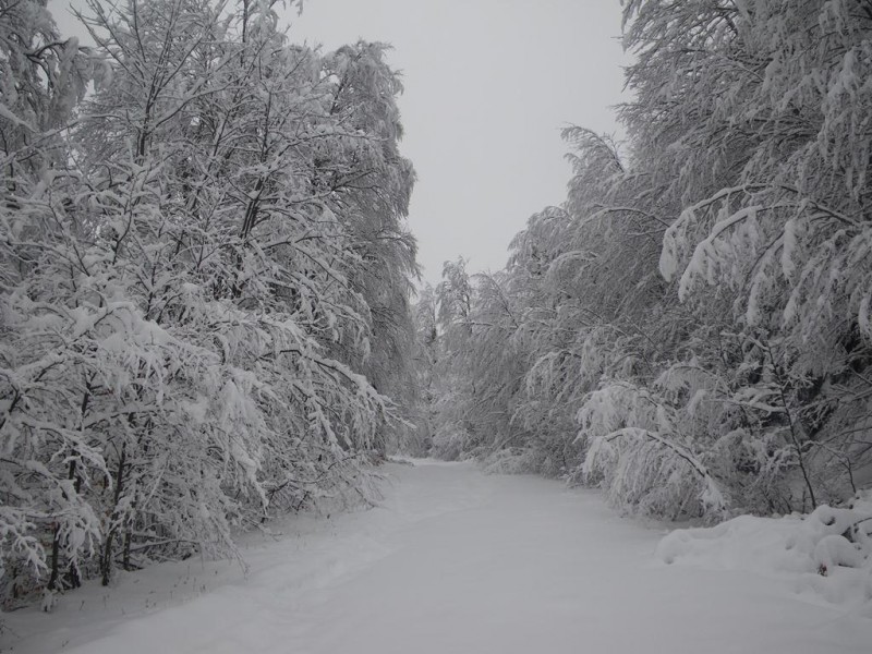 b07_1024x768.JPG
