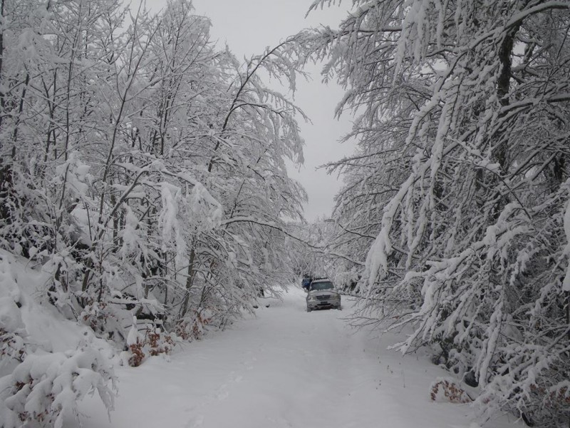 b08_1024x768.JPG
