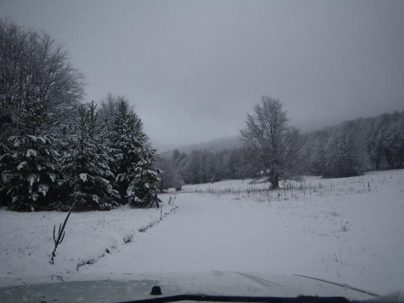 va03_1024x768.JPG