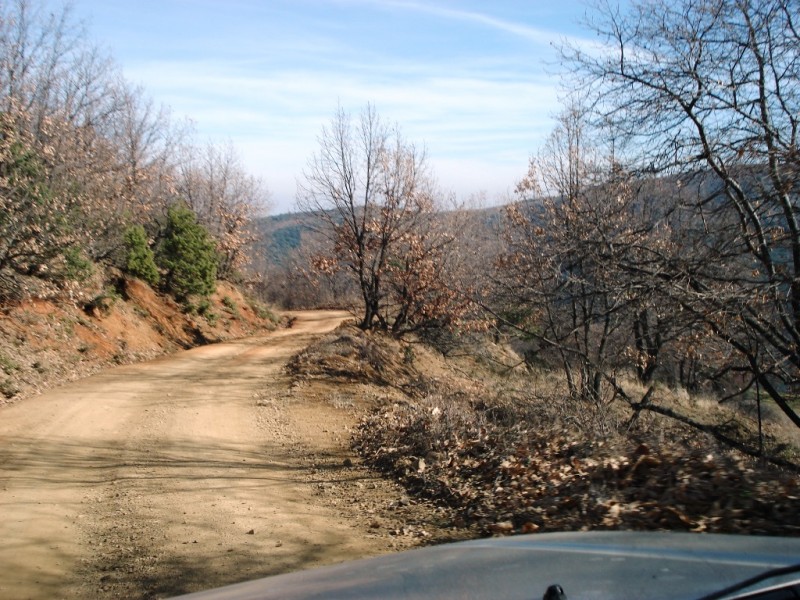 DSC02231v.jpg