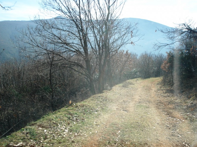 DSC02233v.jpg