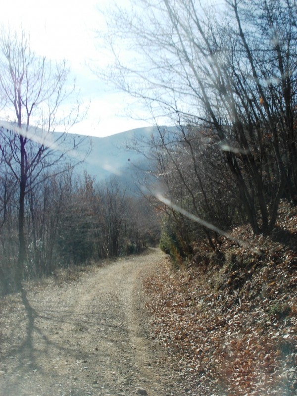 DSC02234v.jpg