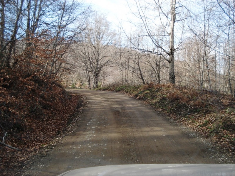 DSC02235v.jpg