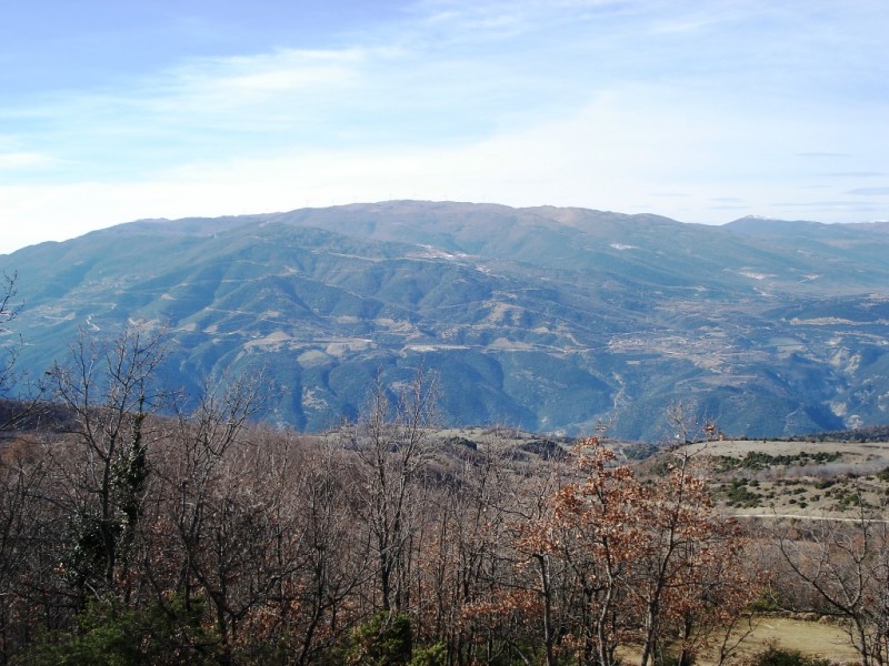 DSC02248v.jpg