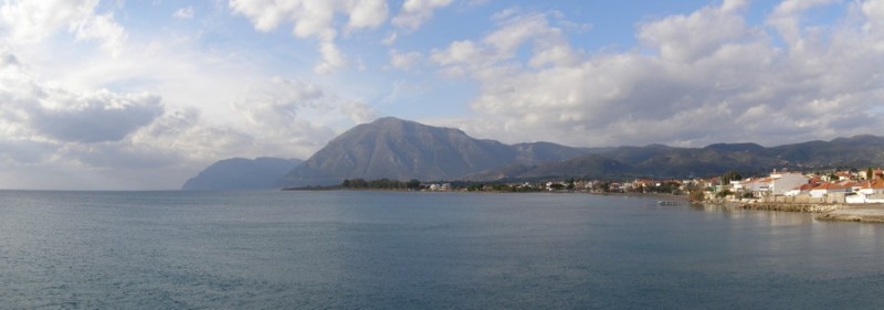 p50.jpg