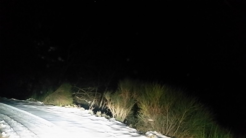 20160207_185937.jpg