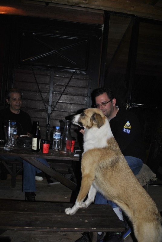 _DSC0600.jpg