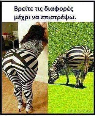 FB_IMG_1455858148755.jpg