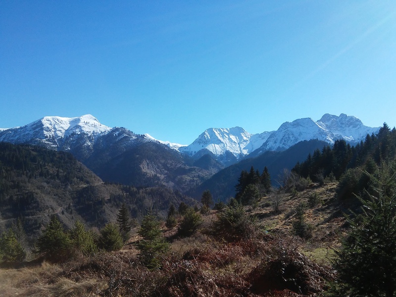 20160221_102254.jpg