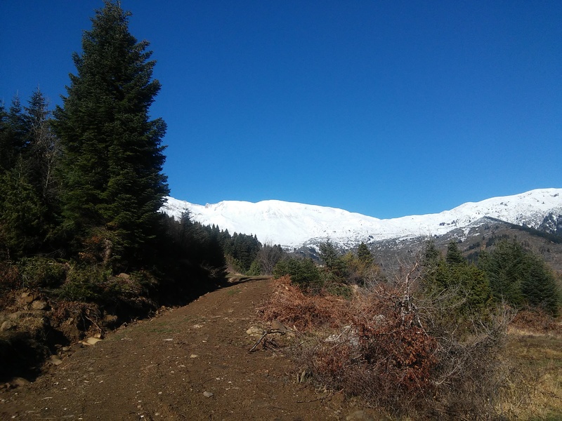20160221_095535.jpg