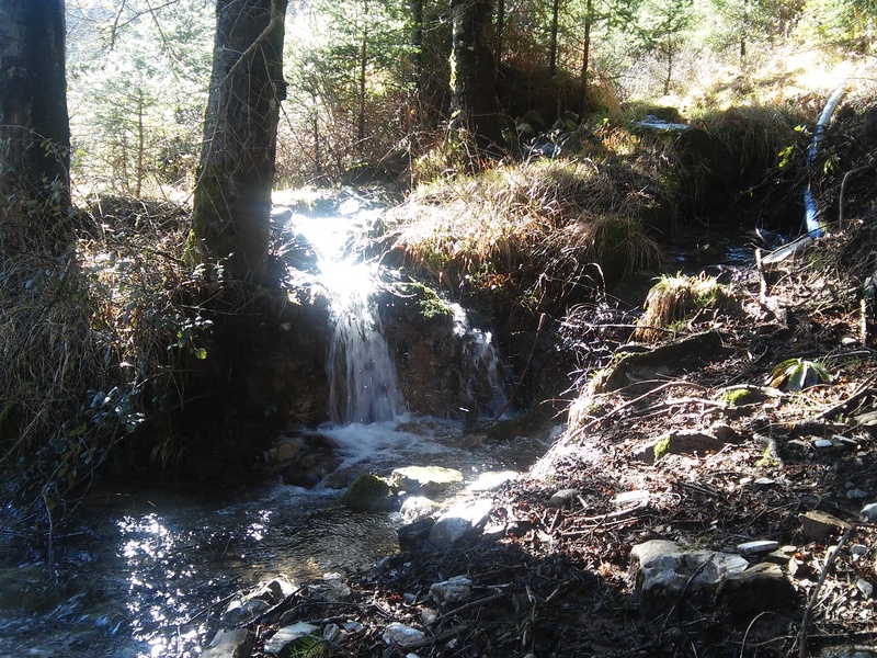 20160221_102758.jpg