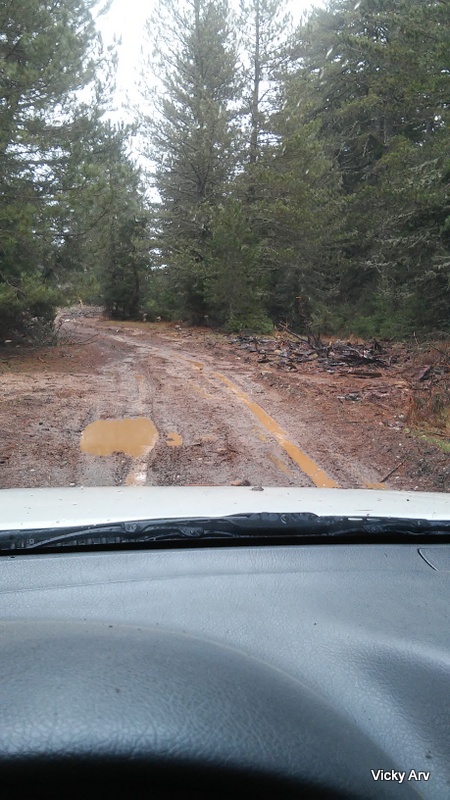 20160214_151648.JPG