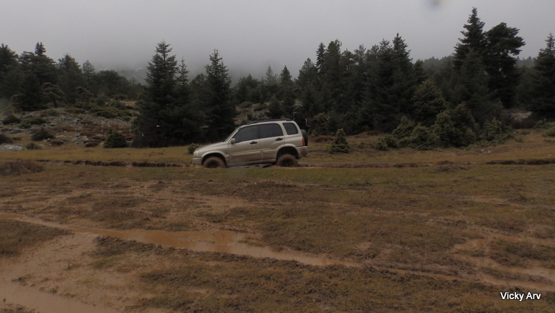P2140039.JPG