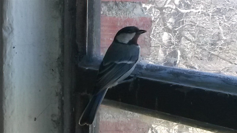 20160227_113512.jpg