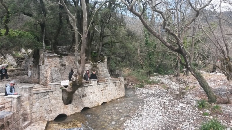 20160306_125311.jpg