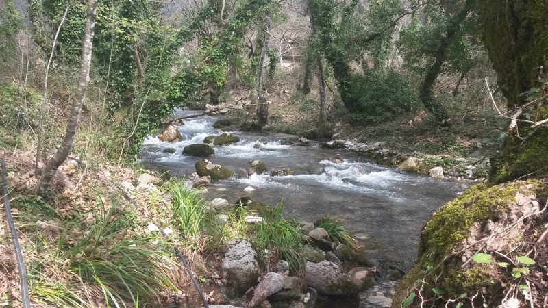 20160306_122841.jpg