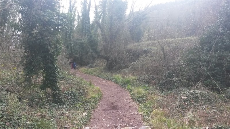 20160306_122625.jpg