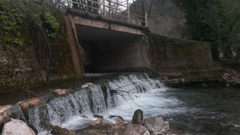 20160306_122611.jpg