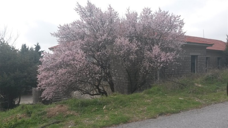 20160306_115637.jpg
