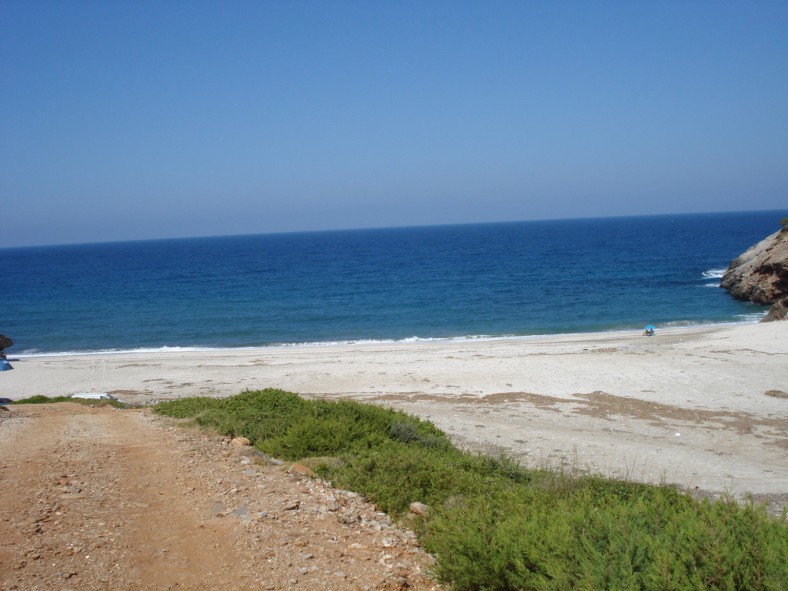 DSC01936.jpg