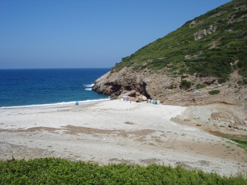 DSC01937.jpg
