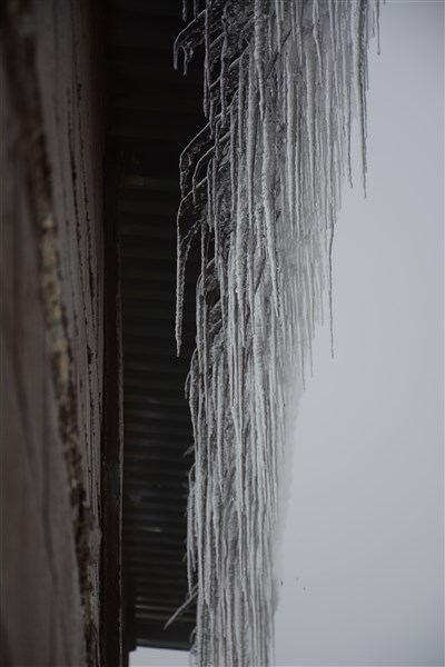 DSC_1289 (400 x 600).jpg