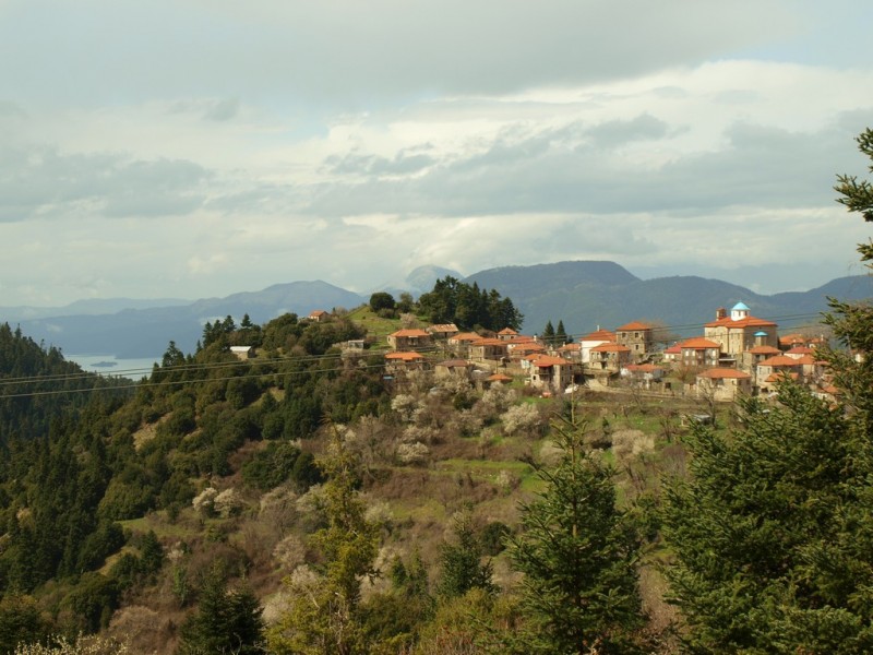 P3137954.jpg