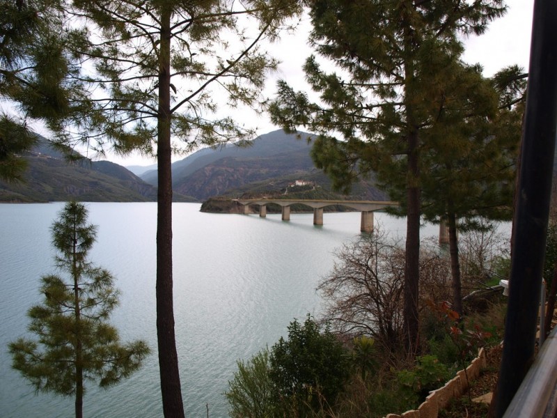 P3137884.jpg