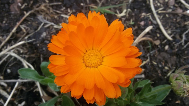 20160306_124943.jpg
