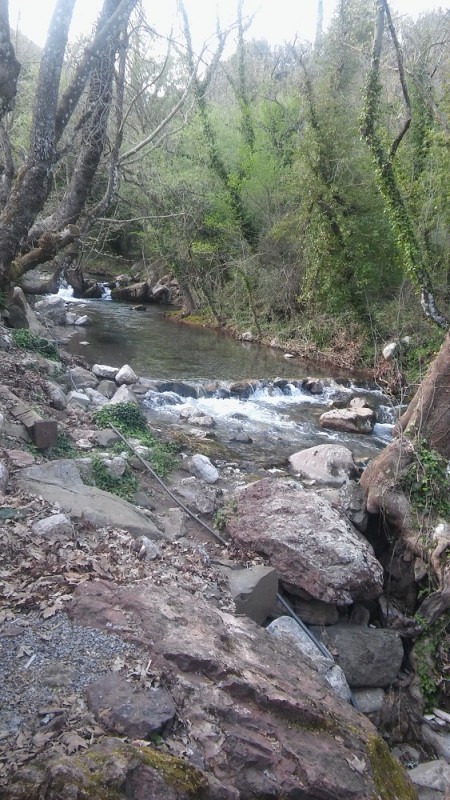 20160403_190310.jpg
