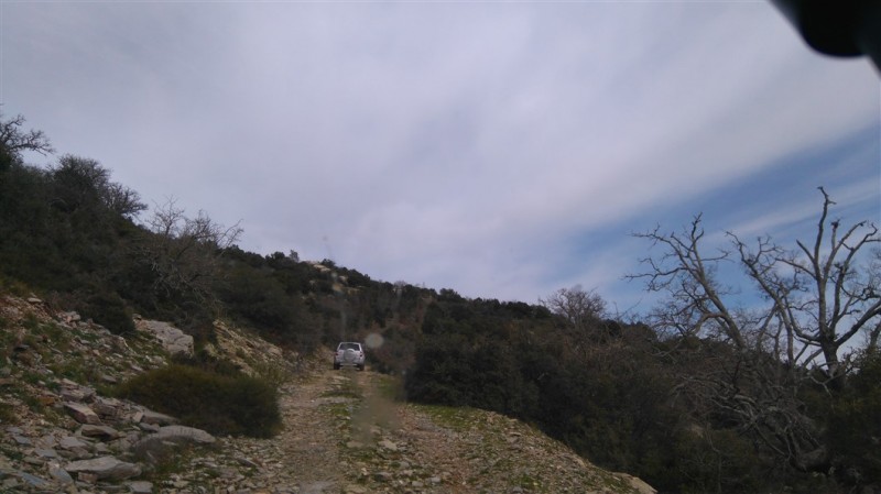 DSC_0007.jpg