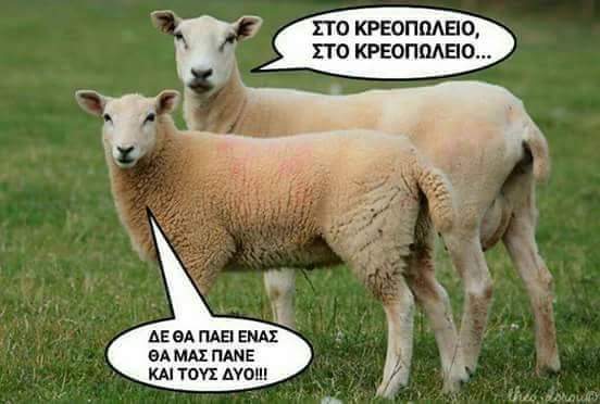 FB_IMG_1461648378440.jpg