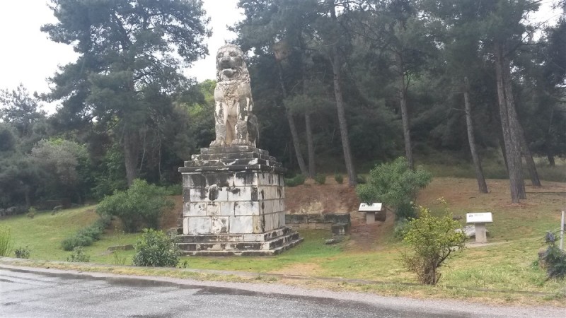 20160429_123443.jpg